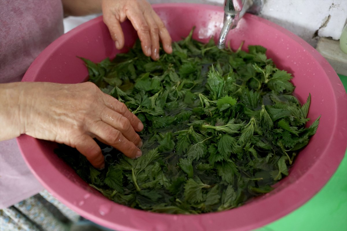 A A 20260430 41249153 41249148 P O M A K L A R I N B A H A R G E L E N E G I K U P R I V A S O F R A L A R D A Y A S A T I L I Y O R