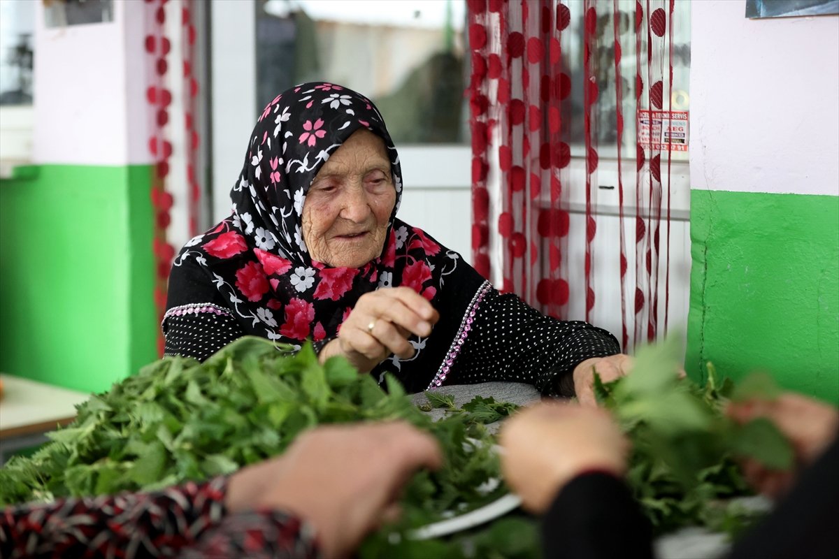 A A 20260430 41249153 41249150 P O M A K L A R I N B A H A R G E L E N E G I K U P R I V A S O F R A L A R D A Y A S A T I L I Y O R