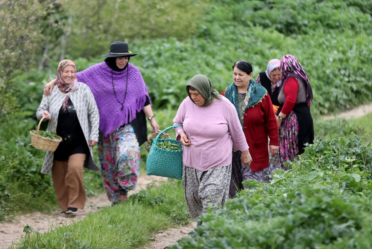 A A 20260430 41249153 41249152 P O M A K L A R I N B A H A R G E L E N E G I K U P R I V A S O F R A L A R D A Y A S A T I L I Y O R