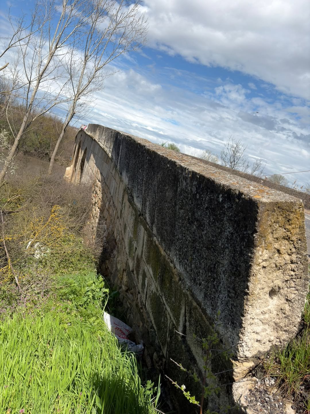 Snap Insta.to 659697338 1735182007459217 6324751361760004817 N