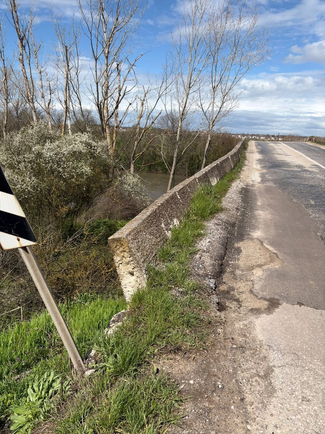 Snap Insta.to 662123189 1735182037459214 2050542579736075067 N