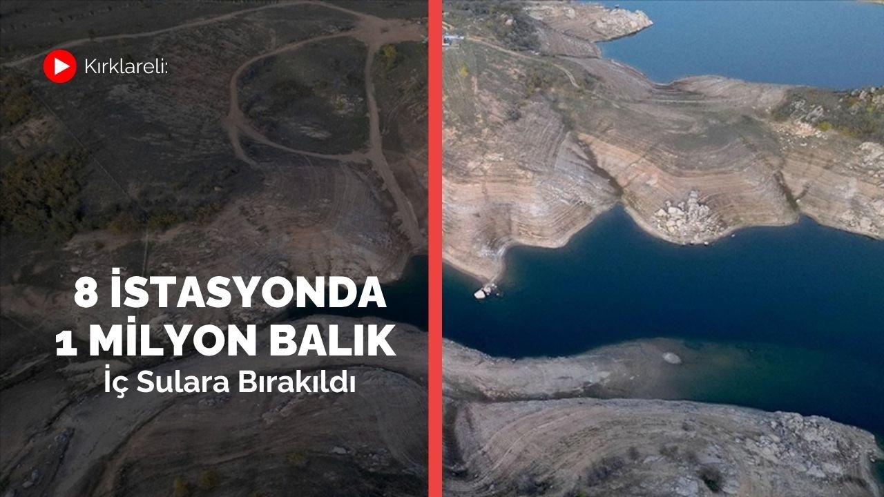 Kırklareli: 8 İstasyonda 1 Milyon Balık İç Sulara Bırakıldı
