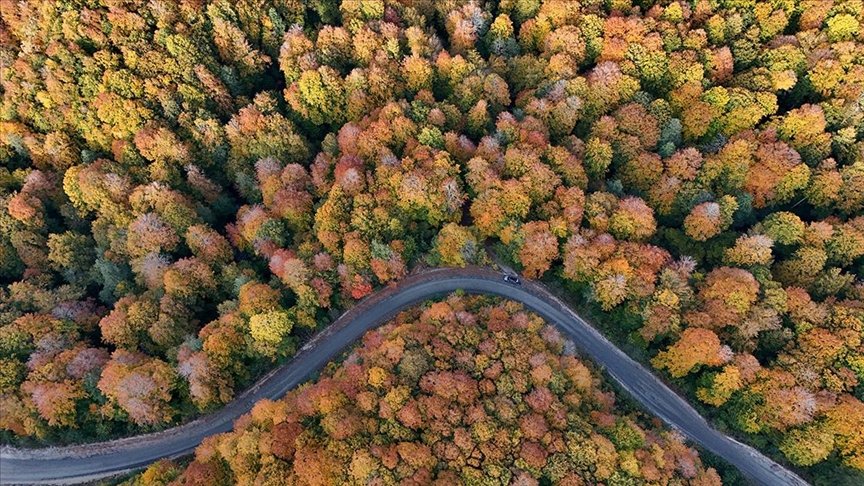 Thumbs B C 520Cdef0Bc583C7C87B9F7Ebd9B4E567