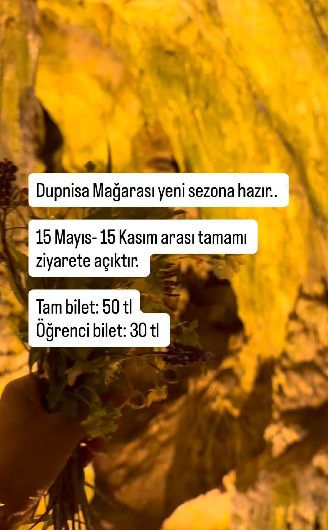 F69474F3 8D61 4Eda Afda 37E81A831F61