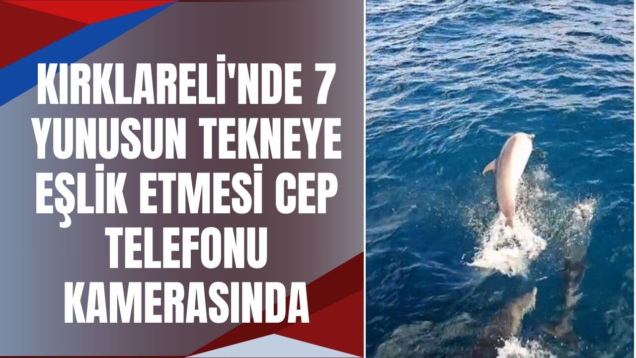 Kırklareli'nde 7 Yunusun Tekneye Eşlik Etmesi Cep Telefonu Kamerasında
