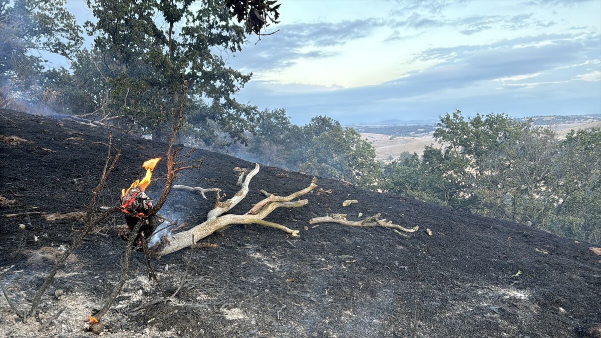 A A 20260928 42595064 42595058 K I R K L A R E L I N D E A N I Z L I K A L A N D A B A S L A Y I P A G A C L I K A L A N A S I C R A Y A N Y A N G I N S O N D U R U L D U