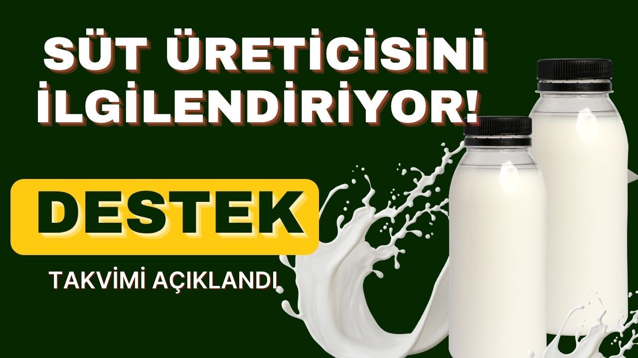 Süt Üreticisini İlgilendiriyor! Destek Takvimi Açıklandı