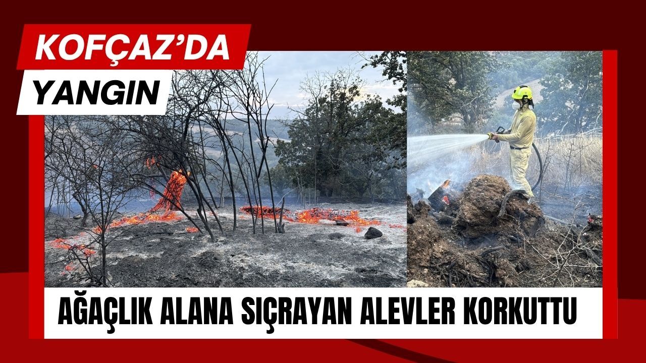 KOFÇAZ’DA YANGIN; Ağaçlık Alana Sıçrayan Alevler Korkuttu