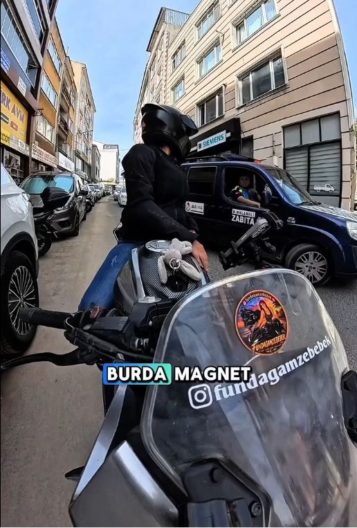 Vize; Sevimli Sincaplar Objektife Yakalandı