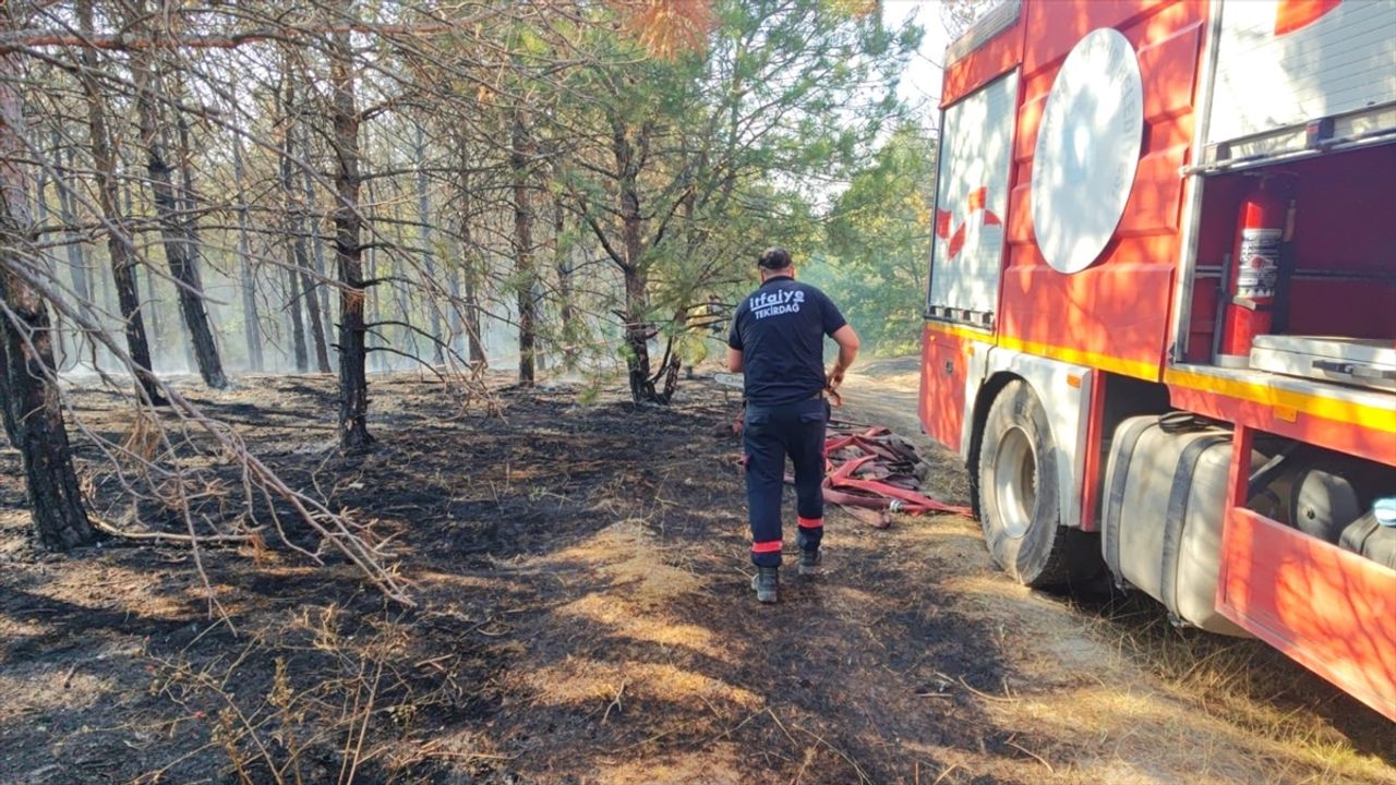 Ormanlık Alanda Çıkan Yangın Korkuttu