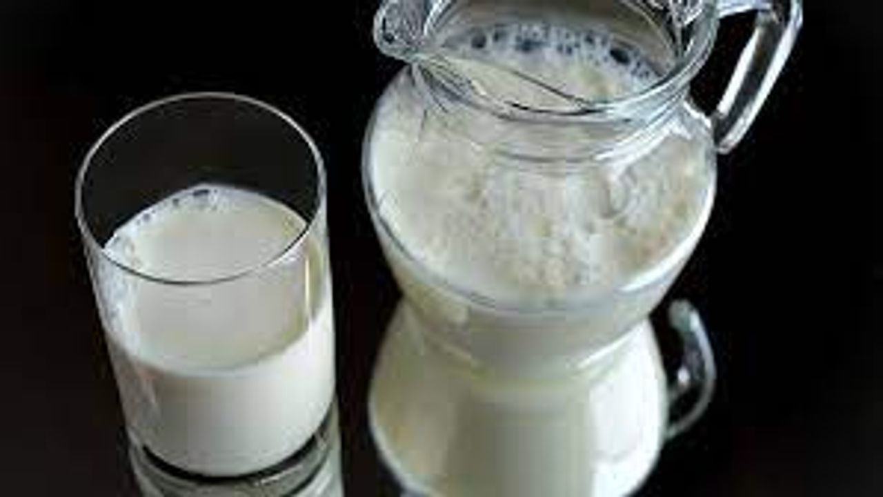 İçme Sütü Üretiminde Artış Var