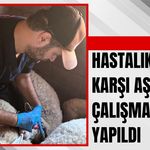 Lüleburgaz’da Hastalıklara Karşı Aşılama Çalışmaları Yapıldı