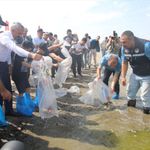 Göletlere 1 Milyon 200 Bin Sazan Yavrusu Bırakılacak