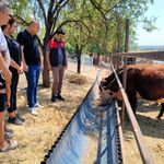 Kırklareli’nde "Kırsalda Bereket" Heyecanı