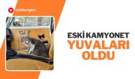 Lüleburgaz: Eski Kamyonet Yuvaları Oldu