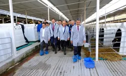 Bakan Kirişci’den Süt Sığırcılığı İşletmesi Ziyareti