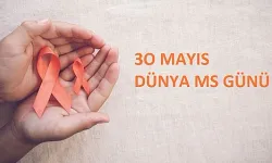 30 Mayıs Dünya MS Günü