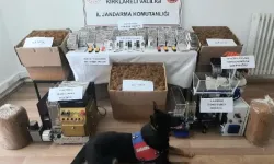 Jandarmadan Kaçakçılığa İzin Yok