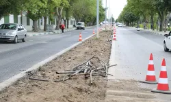 Orta Refüjlerde Peyzaj Çalışması Yapılıyor