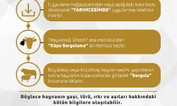 “TarımCebimde’ Uygulaması İle Kurbanlıklar Cebinizde