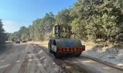 İğneada Yolu İçin Müjdeli Haber