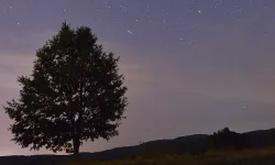 Hafta Sonu Meteor Yağmuru Var! Peki, Nerelerden İzlenebilecek? 