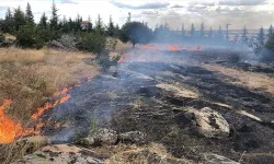 Kırklareli’nde Yangın