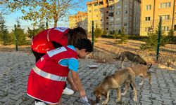 Türk Kızılay Kırklareli Can Dostları Unutmadı