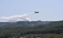 Tekirdağ’da Orman Yangını