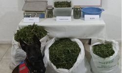 22 Kilogram Esrar Ele Geçirildi
