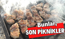 Bunlar, Son Piknikler…