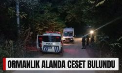 Ormanlık Alanda Ceset Bulundu