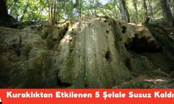 Kuraklıktan Etkilenen 5 Şelale Susuz Kaldı