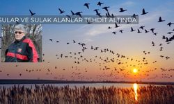 Sular Ve Sulak Alanlar Tehdit Altında