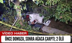 Önce Domuza, Sonra Ağaca Çarptı; 2 Ölü