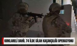 Kırklareli Dahil 74 İlde Silah Kaçakçılığı Operasyonu