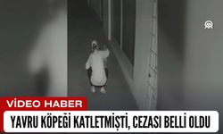 Yavru Köpeği Katletmişti, Cezası Belli Oldu