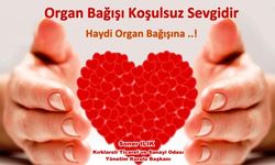 “Organ Bağışı, Kan Bağışı Gibi Yaygınlaştığı Zaman Başarıya Ulaşacaktır”