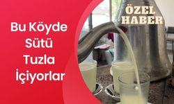 Bu Köyde Sütü Tuzla İçiyorlar