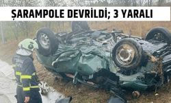 Şarampole Devrildi; 3 Yaralı