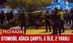Otomobil Ağaca Çarptı; 3 Ölü, 2 Yaralı