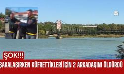 Şakalaşırken Küfrettikleri İçin 2 Arkadaşını Öldürdü