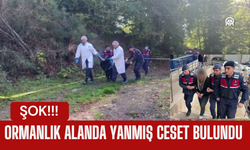 Ormanlık Alanda Yanmış Ceset Bulundu