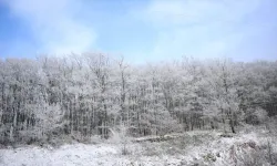 Soğuk Hava Yerini  Kar Yağışına Bıraktı