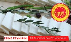 Ezine Peynirini AB Tescilledi, Peki Ya Kırklareli?