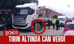 TIRIN ALTINDA CAN VERDİ