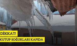 Kutup Soğukları Kapıda