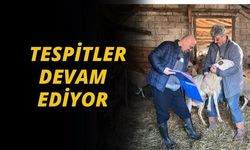 Tespitler Devam Ediyor