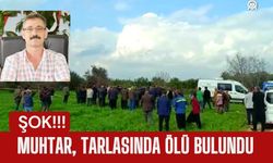 ŞOK; Muhtar, Tarlasında Ölü Bulundu