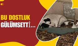 Bu Dostluk Gülümsetti…